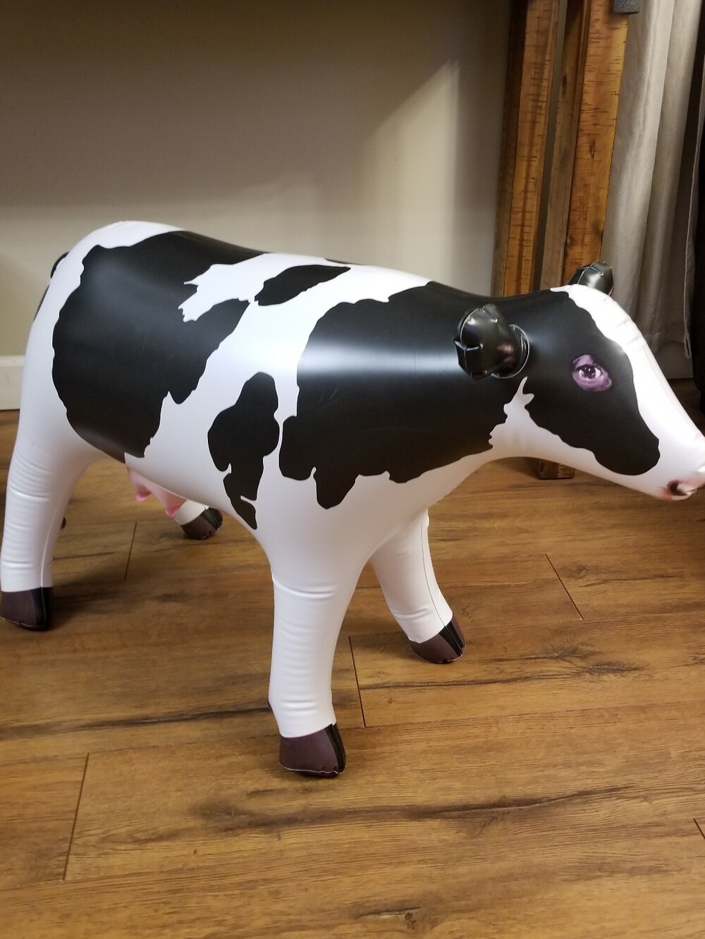 ❗XL Inflatable Cow❗